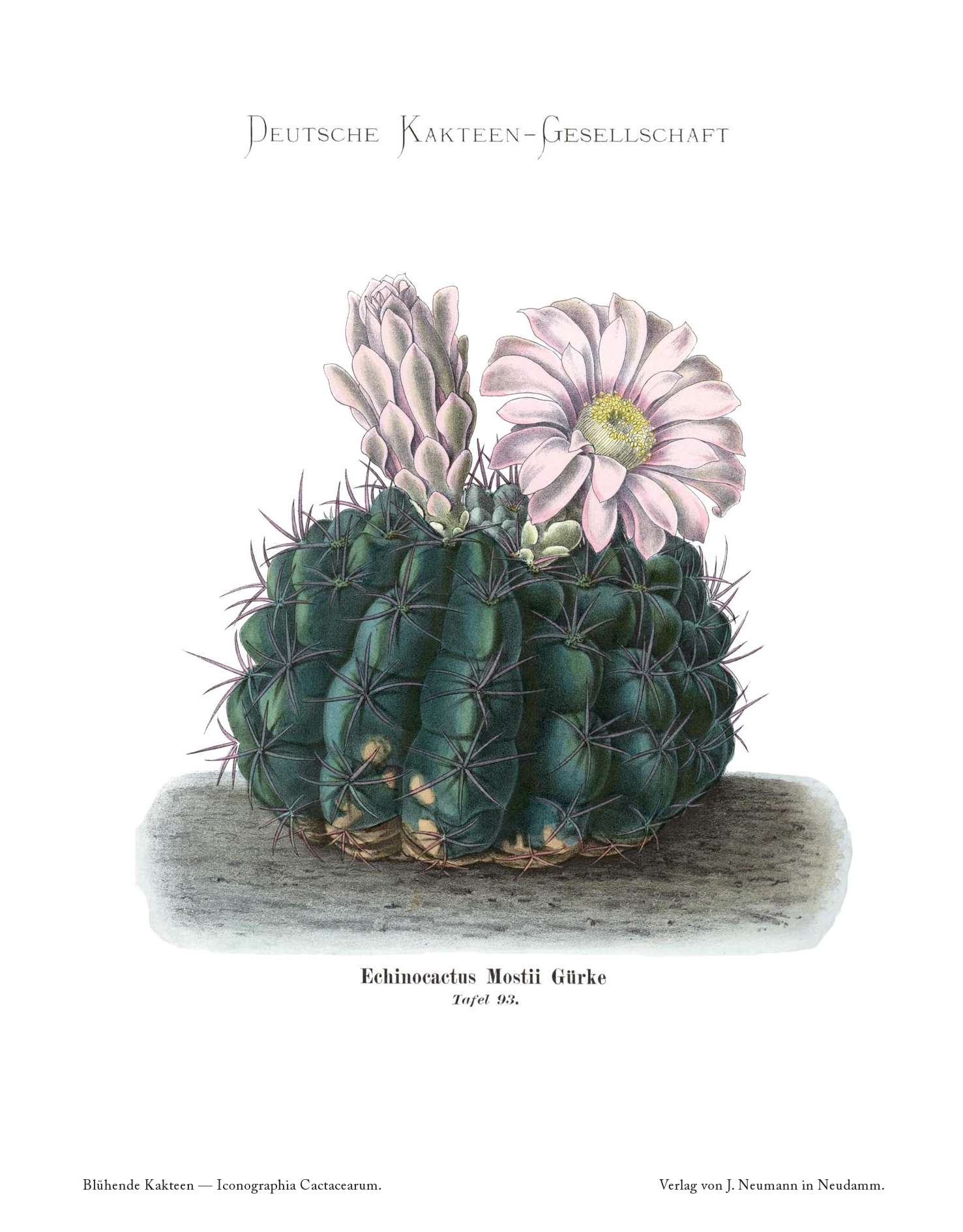 no full size  illustration available (3a)