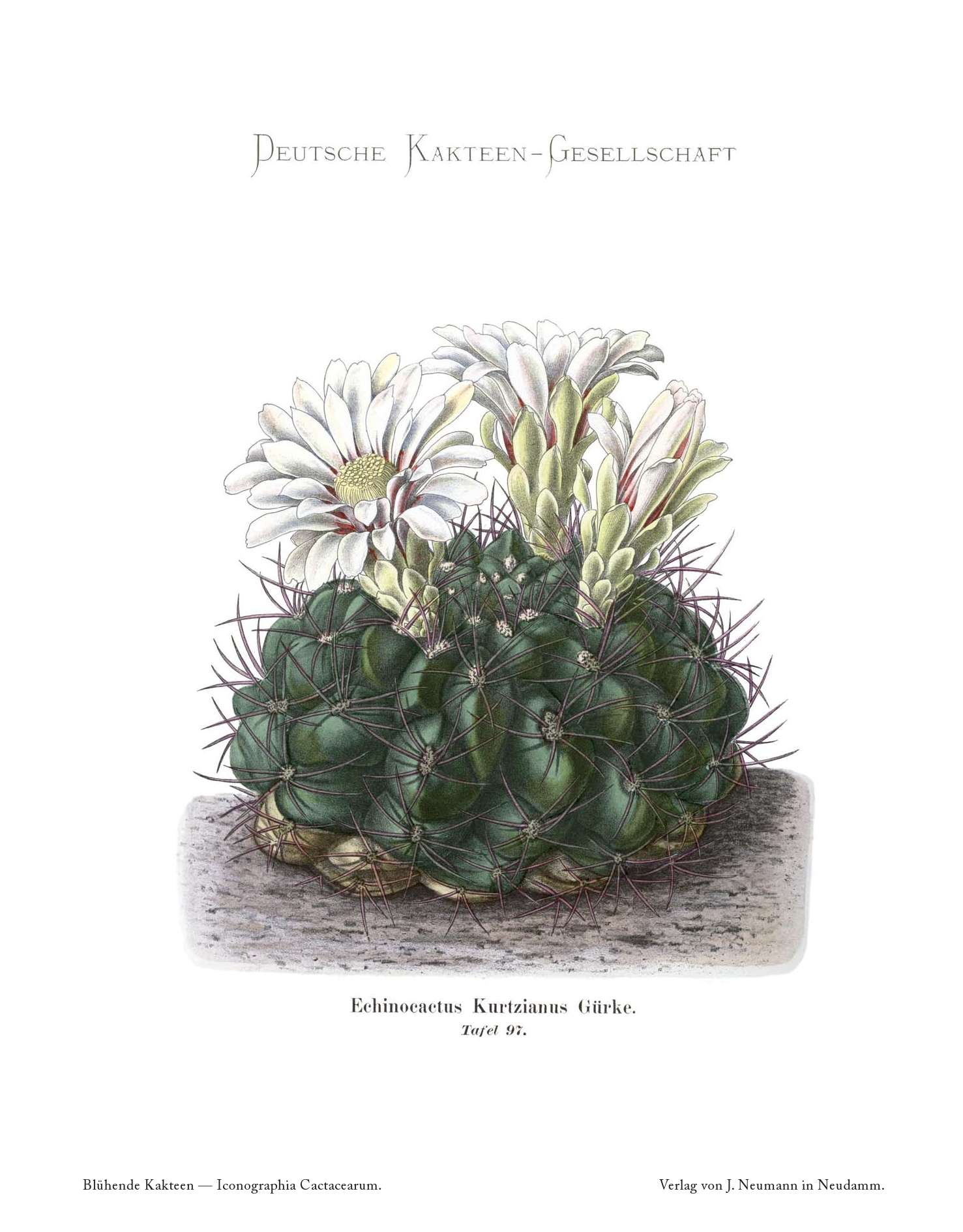 no full size  illustration available (3a)