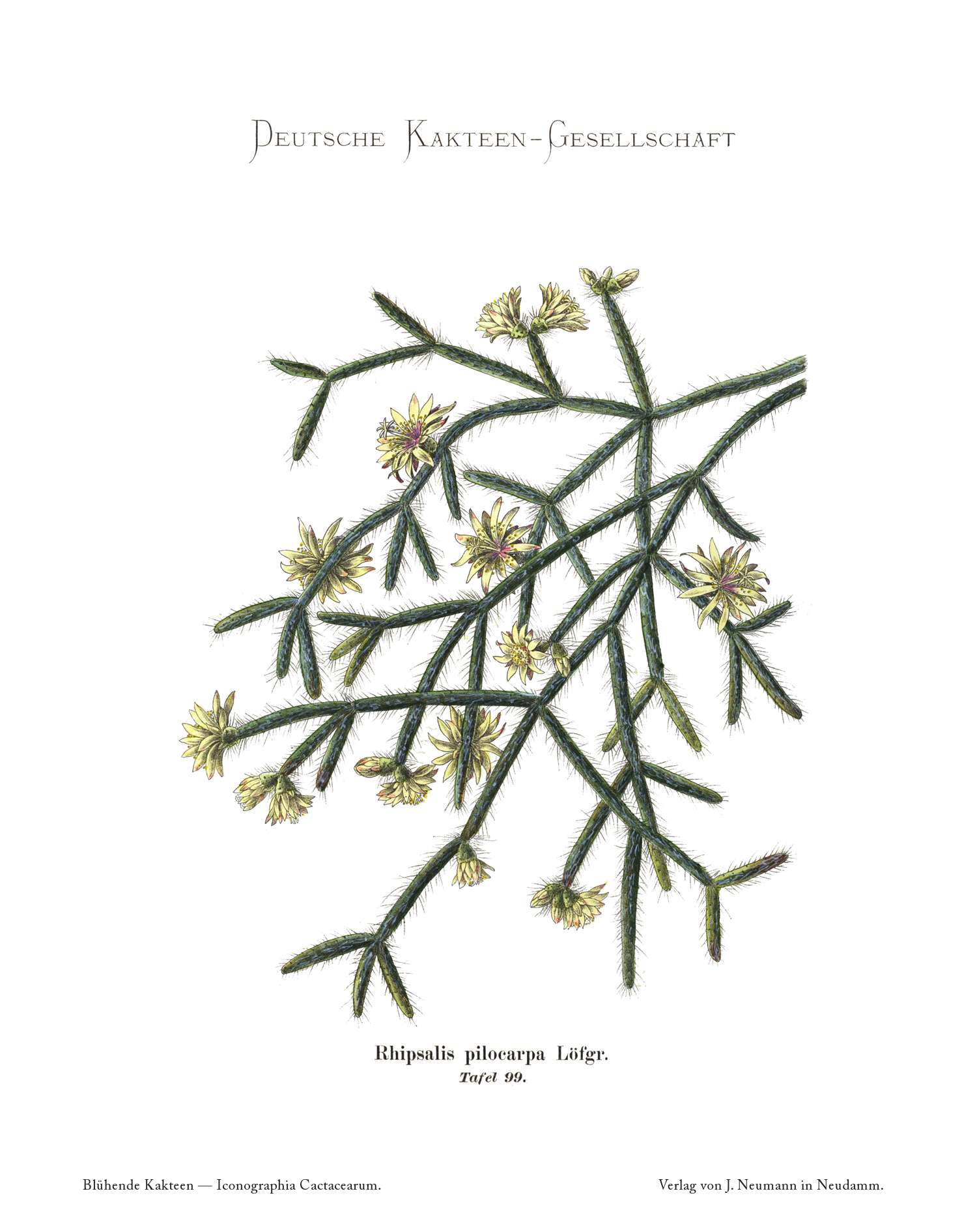 no full size  illustration available (3a)