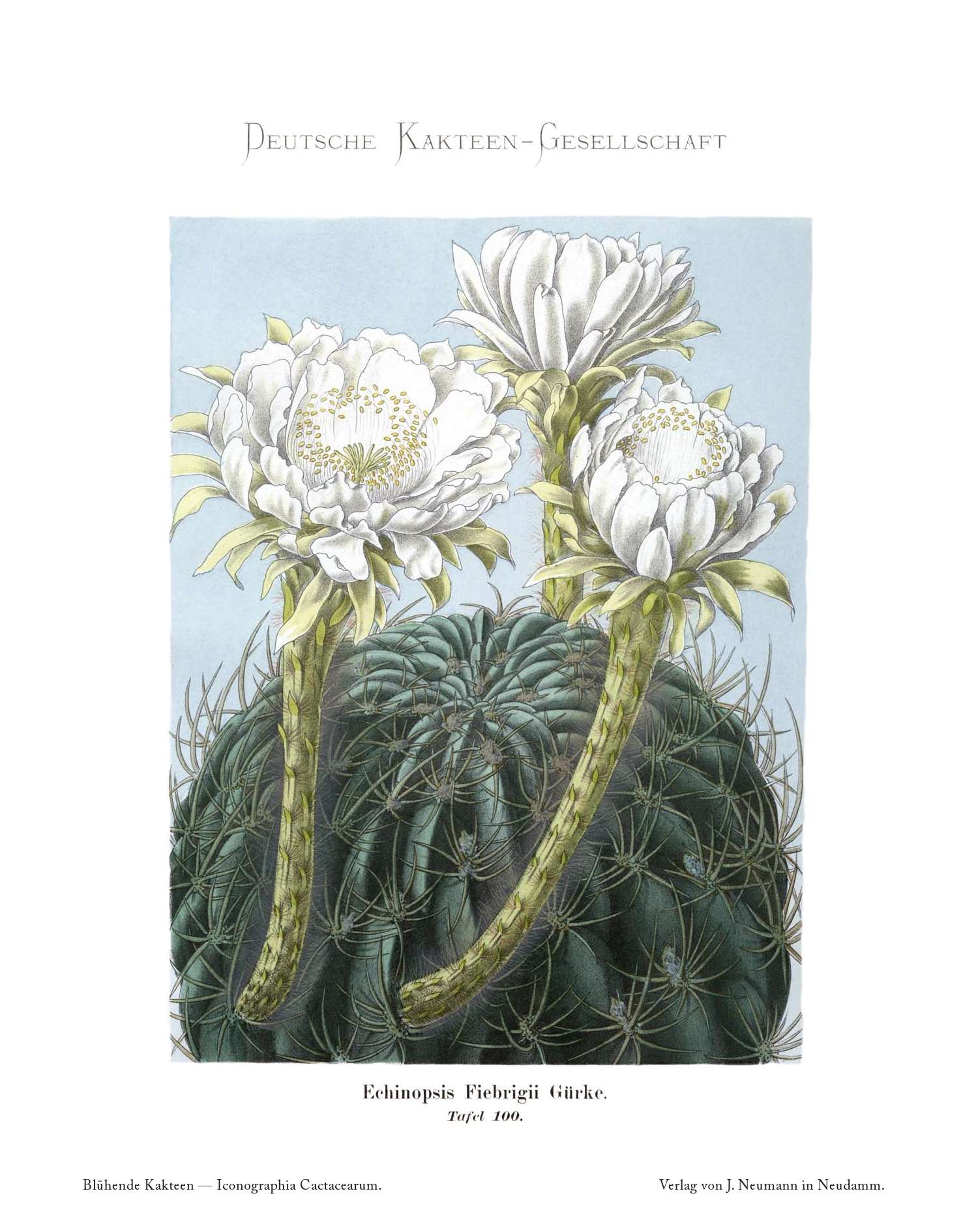 no full size  illustration available (3a)