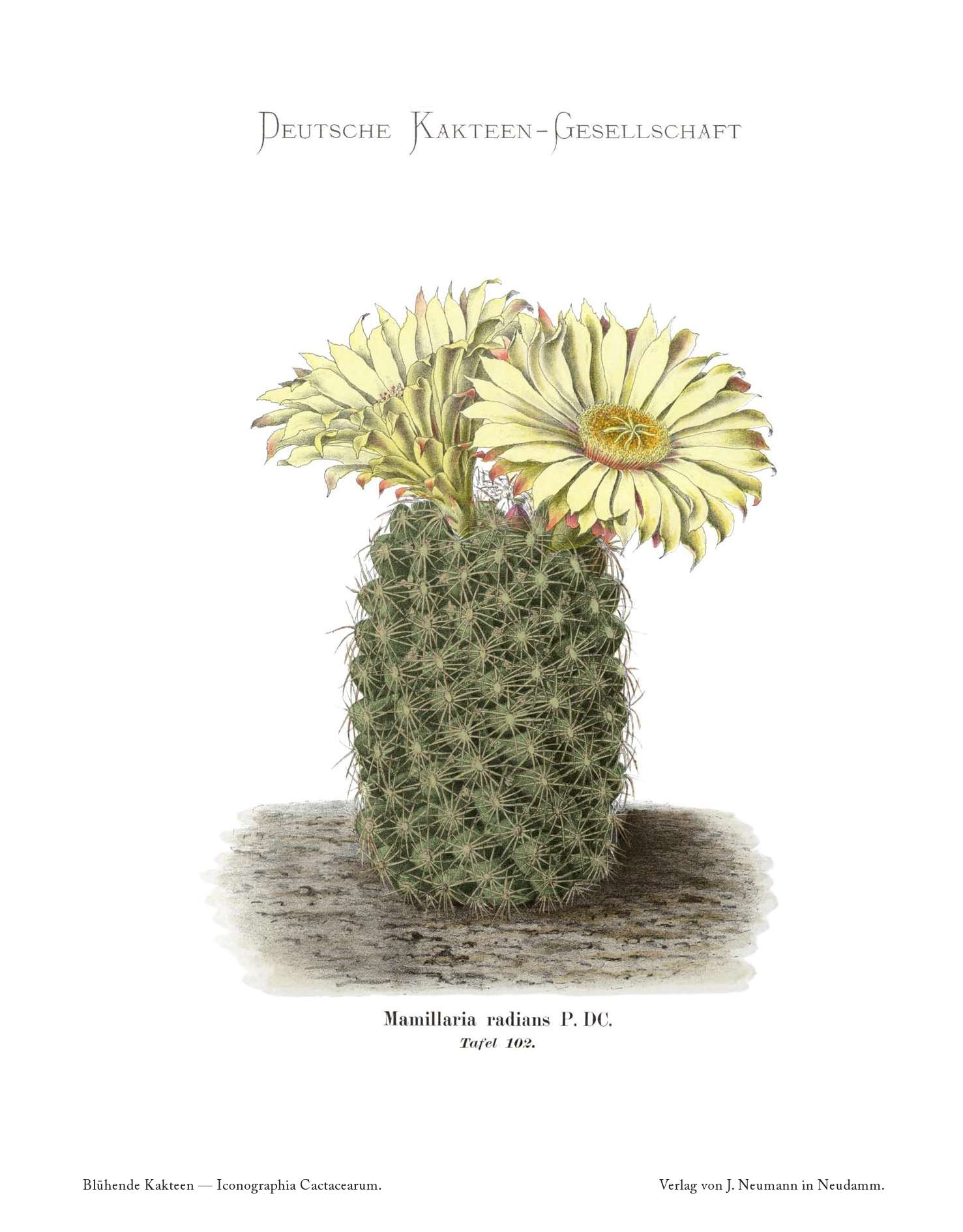 no full size  illustration available (3a)