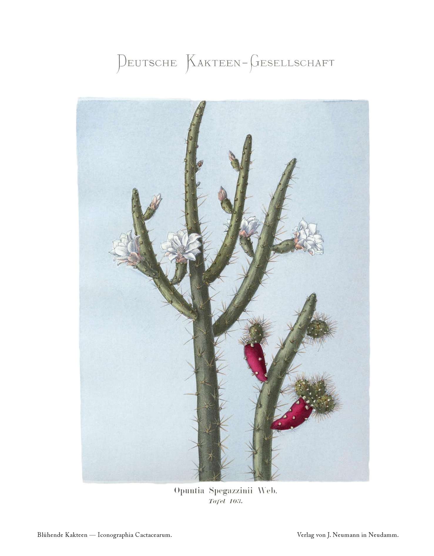 no full size  illustration available (3a)