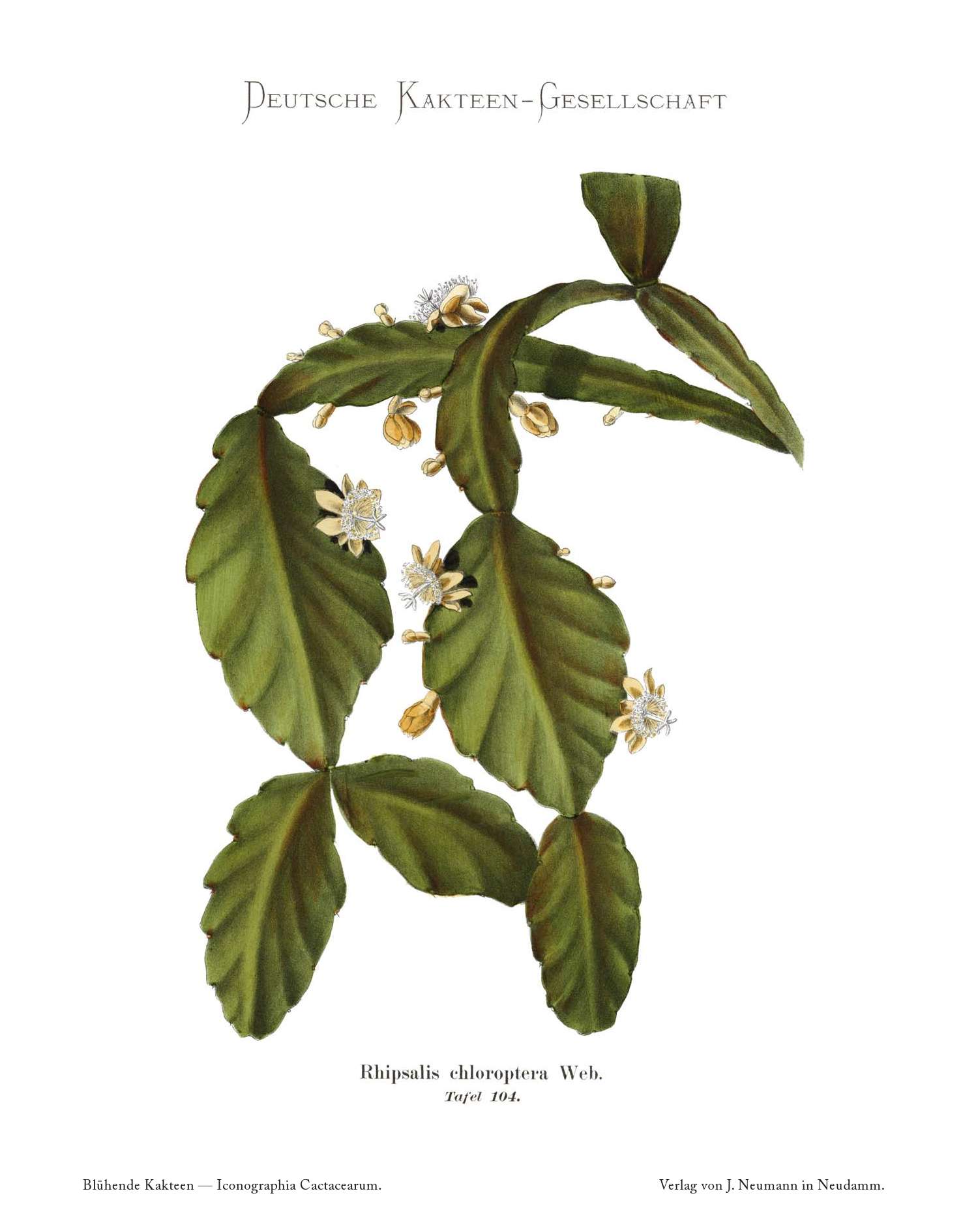 no full size  illustration available (3a)