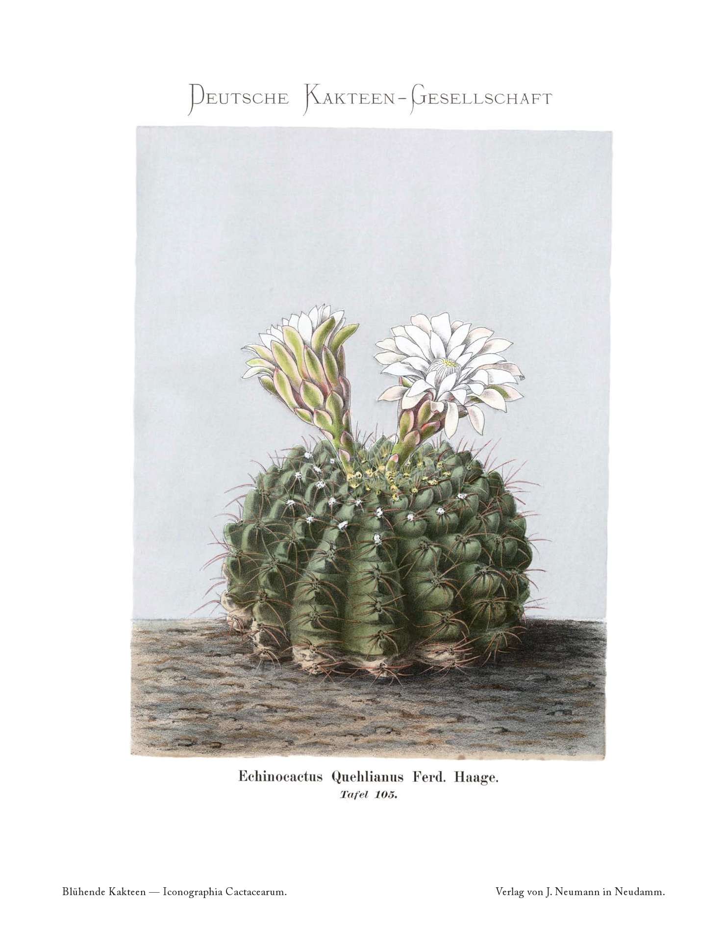 no full size  illustration available (3a)