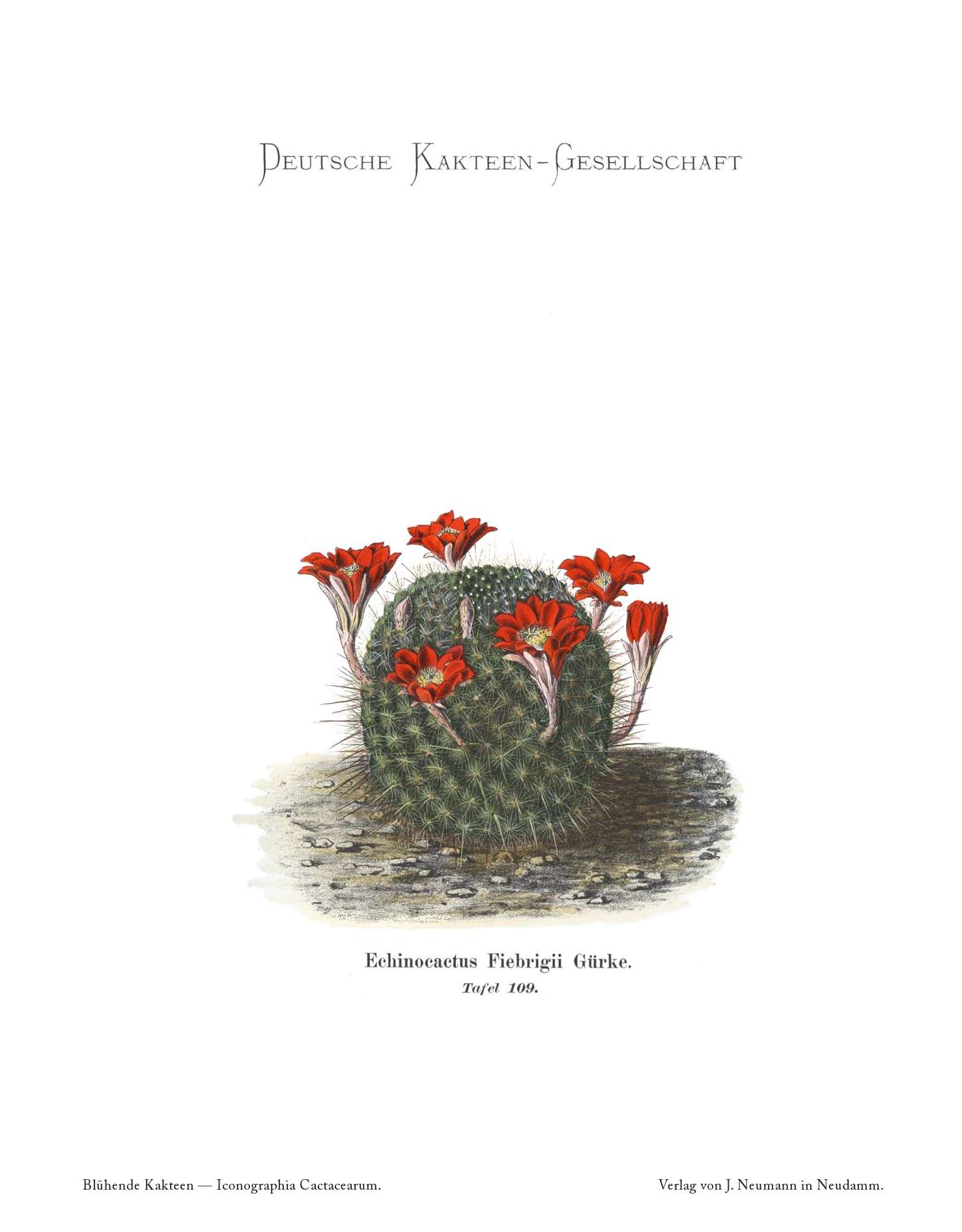 no full size  illustration available (3a)