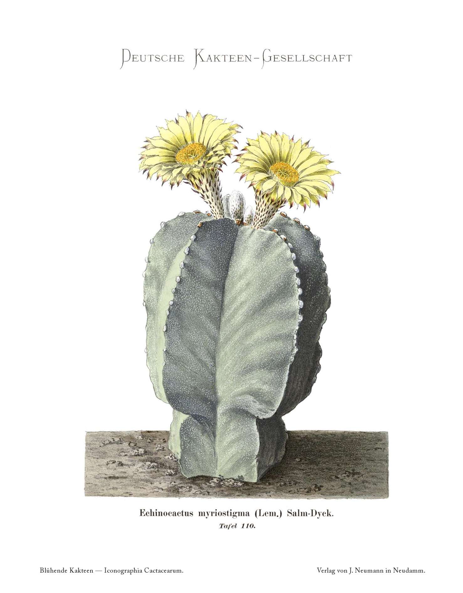 no full size  illustration available (3a)