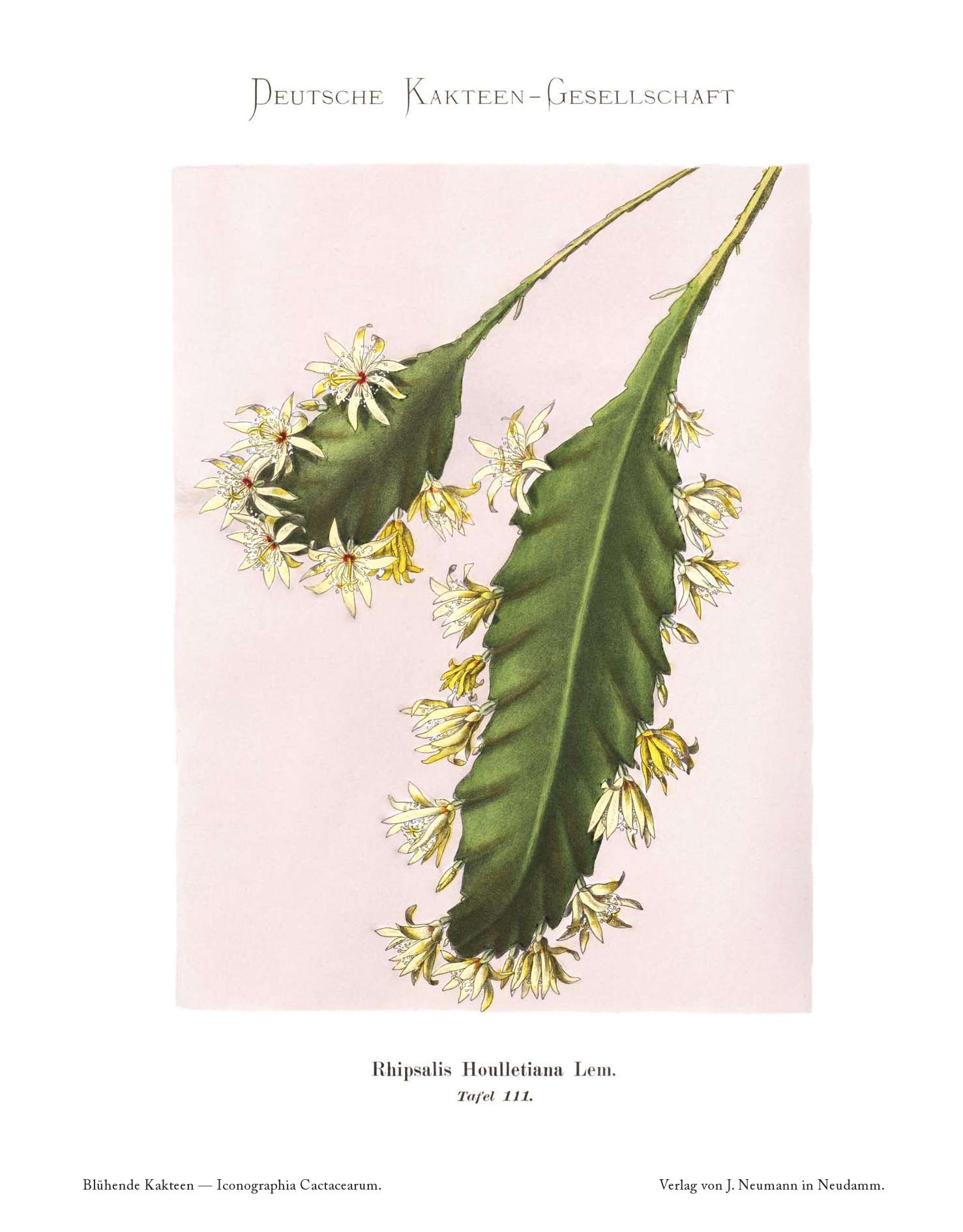 no full size  illustration available (3a)