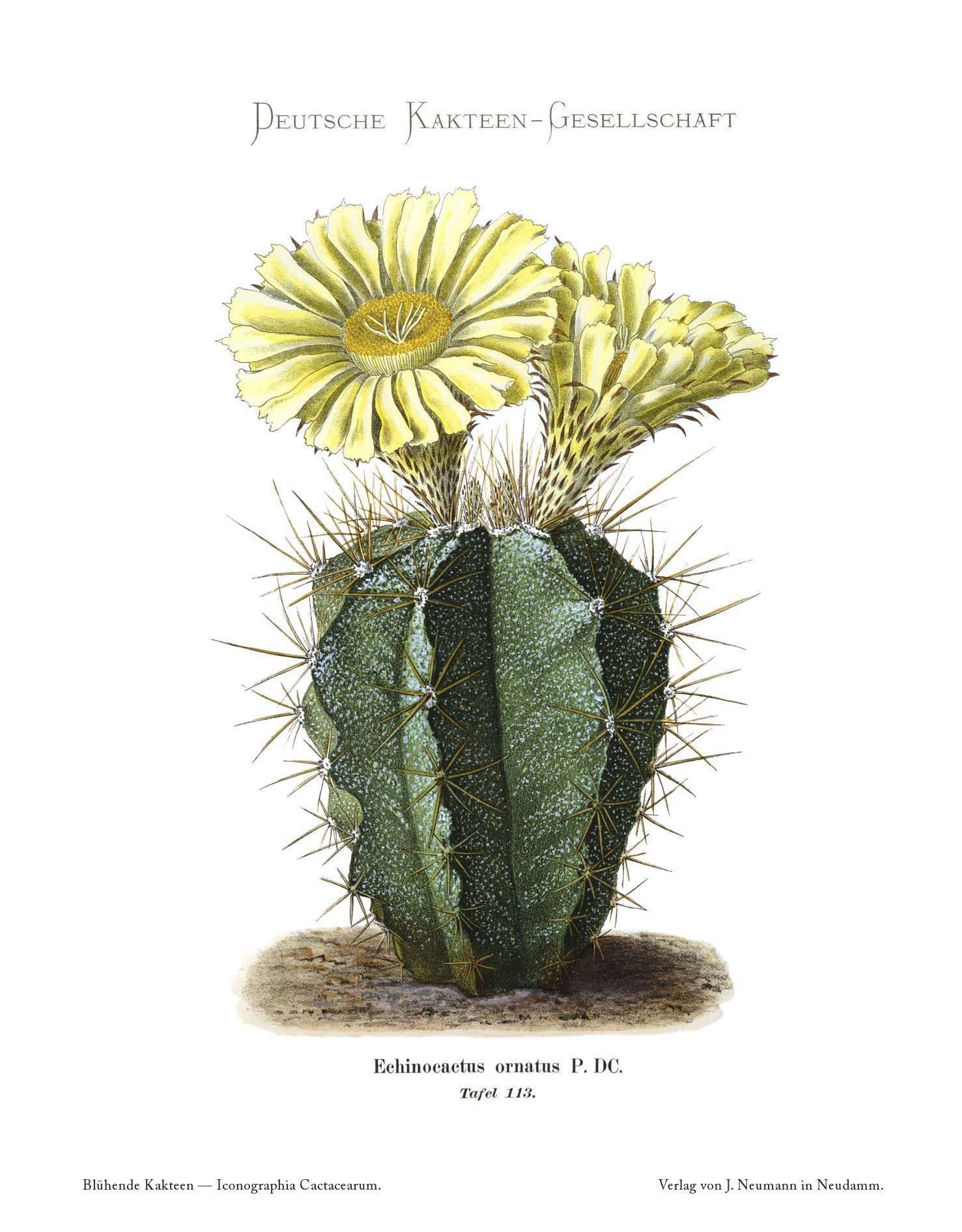 no full size  illustration available (3a)