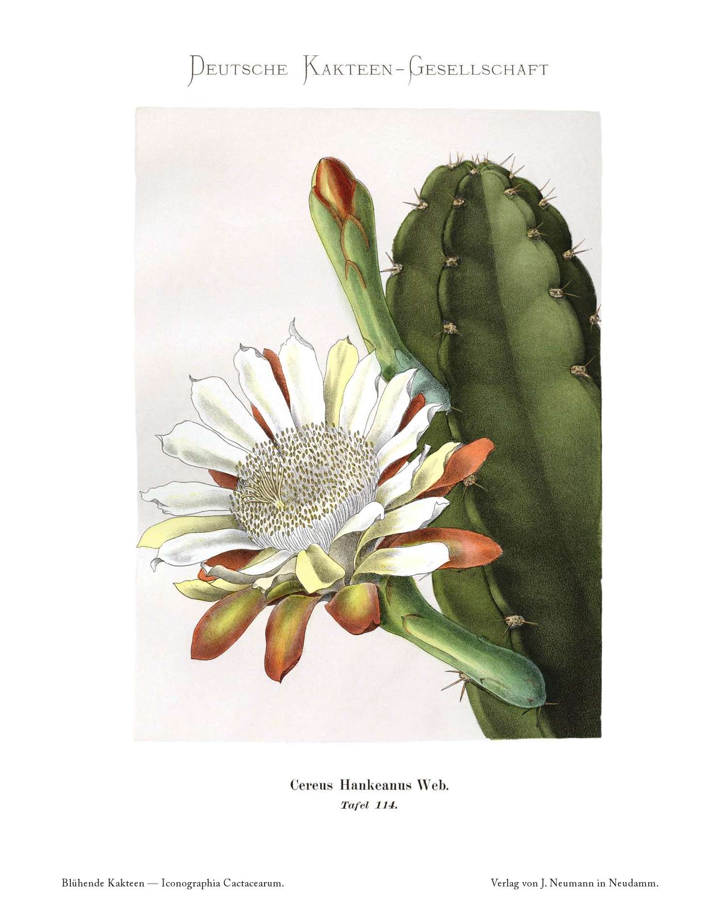 no full size  illustration available (3a)