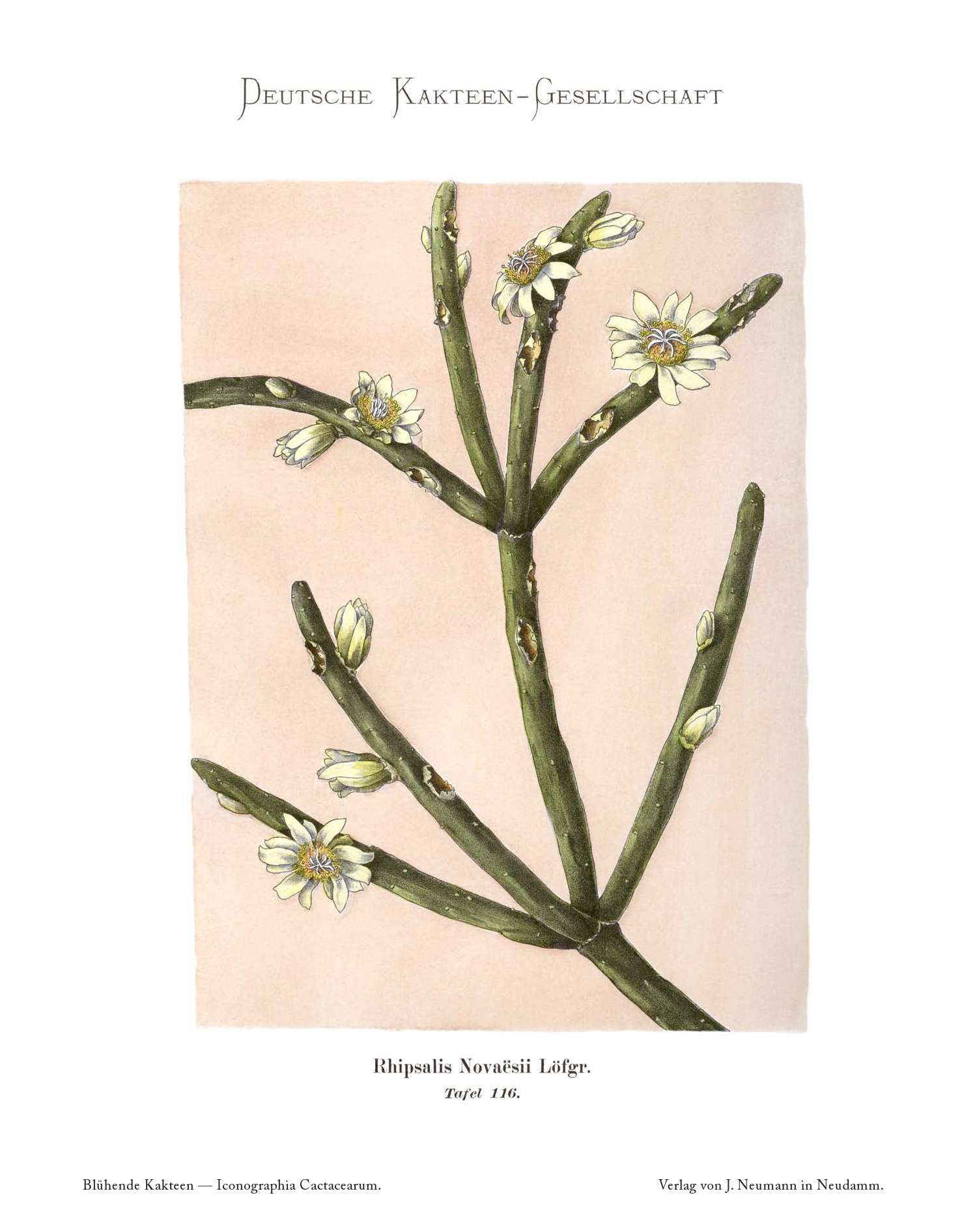 no full size  illustration available (3a)