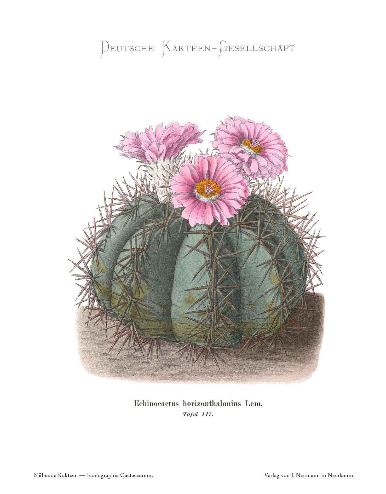 no full size  illustration available (3a)