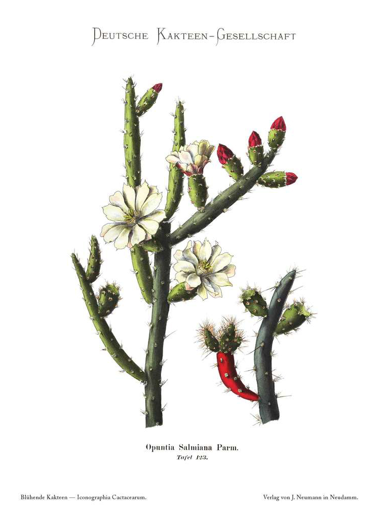 no full size  illustration available (3a)