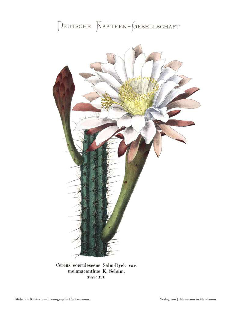 no full size  illustration available (3a)