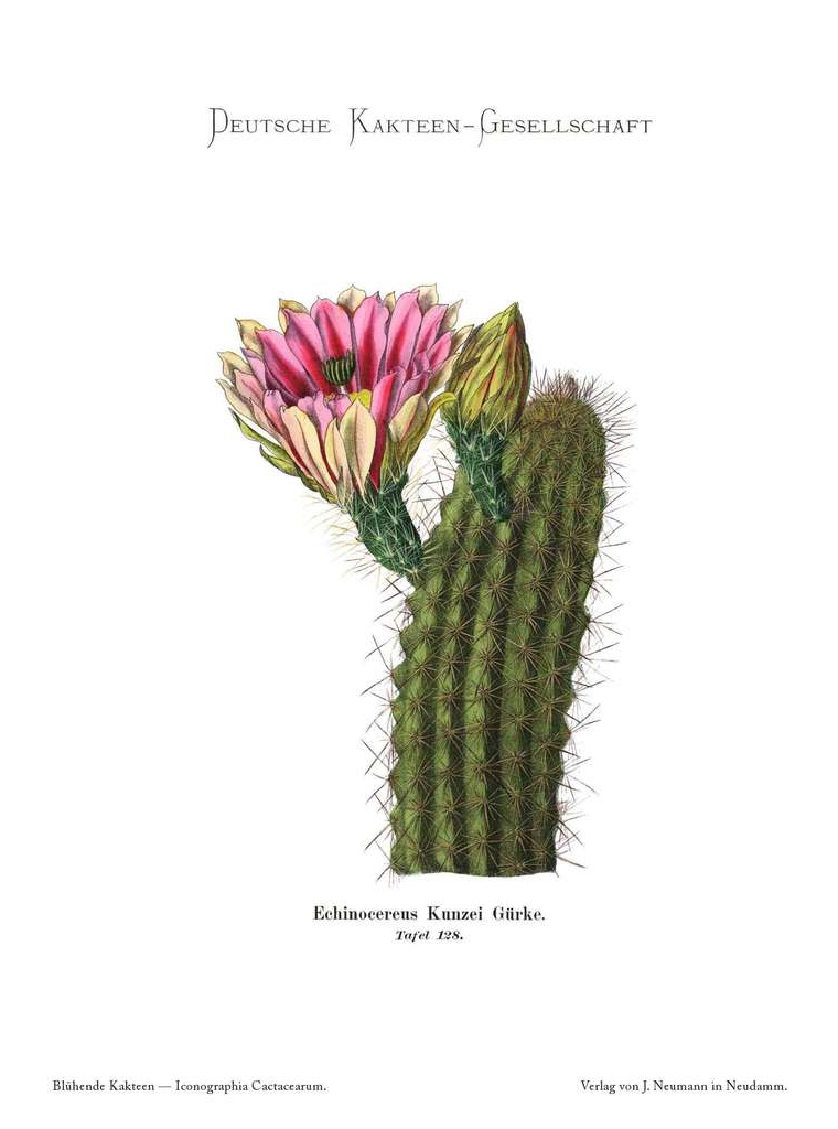 no full size  illustration available (3a)