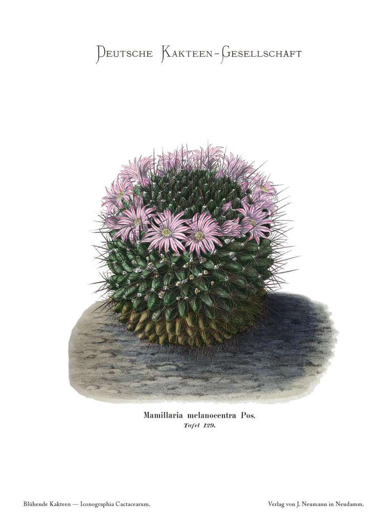 no full size  illustration available (3a)