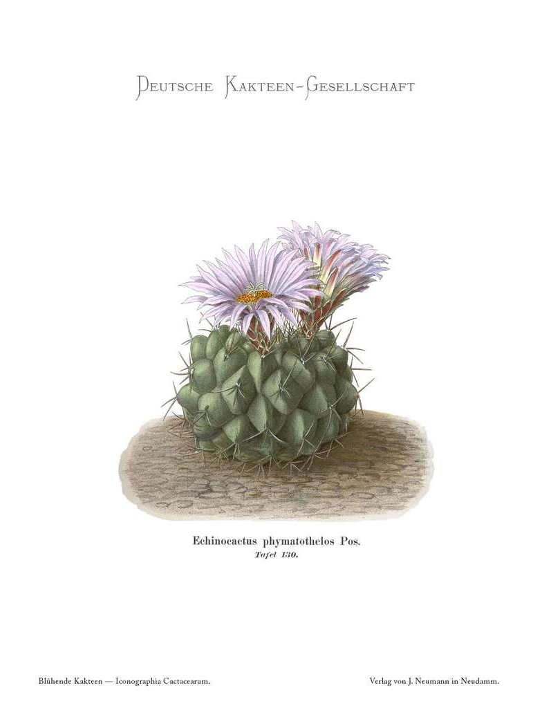 no full size  illustration available (3a)