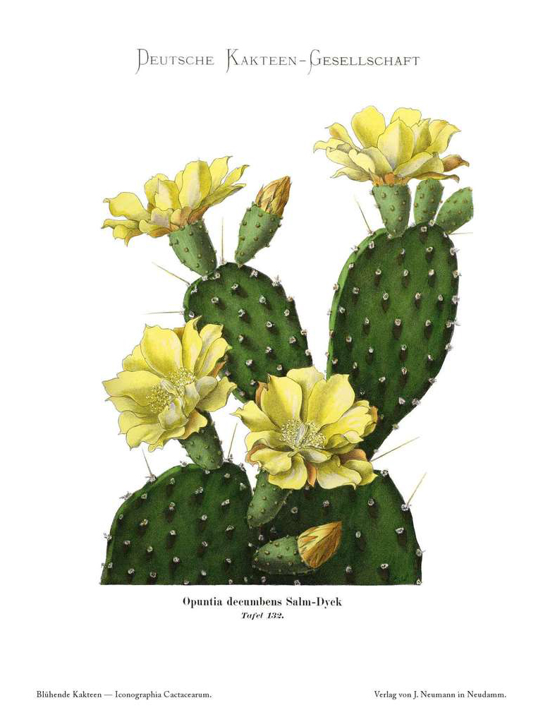 no full size  illustration available (3a)