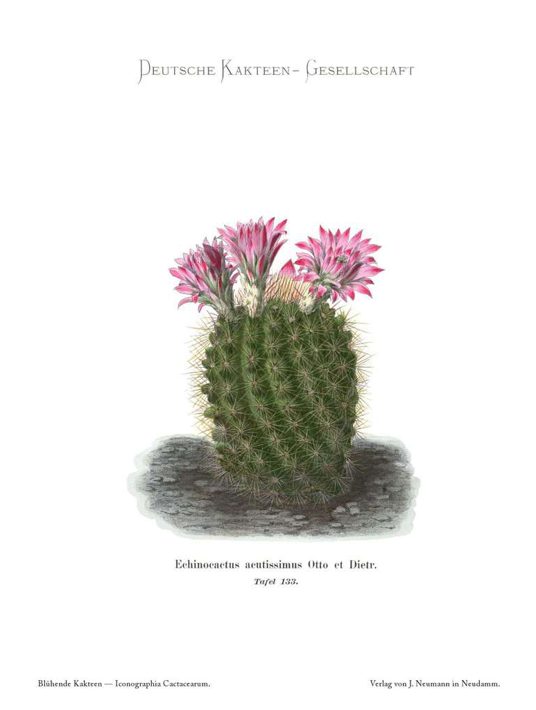 no full size  illustration available (3a)