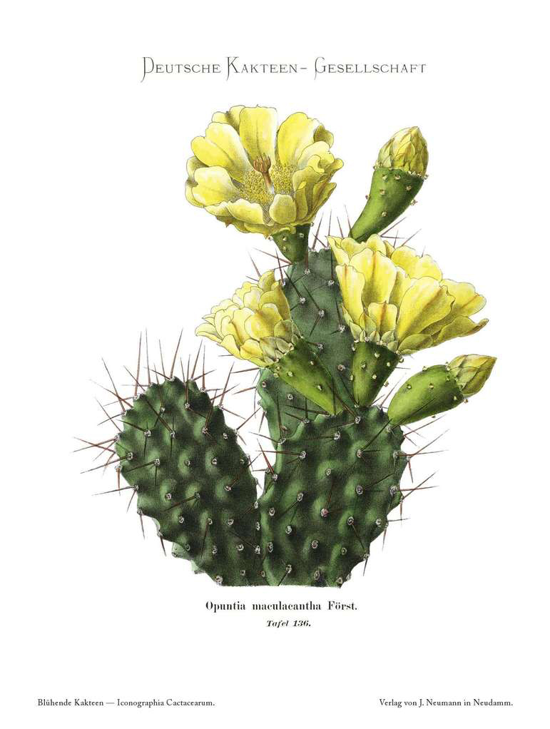 no full size  illustration available (3a)