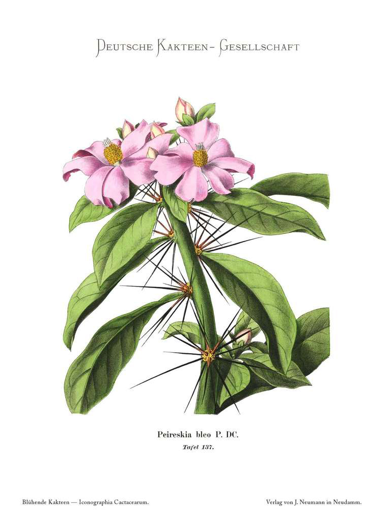 no full size  illustration available (3a)