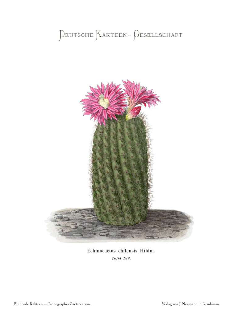 no full size  illustration available (3a)