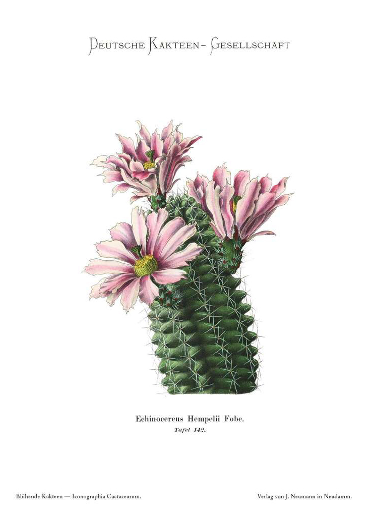 no full size  illustration available (3a)