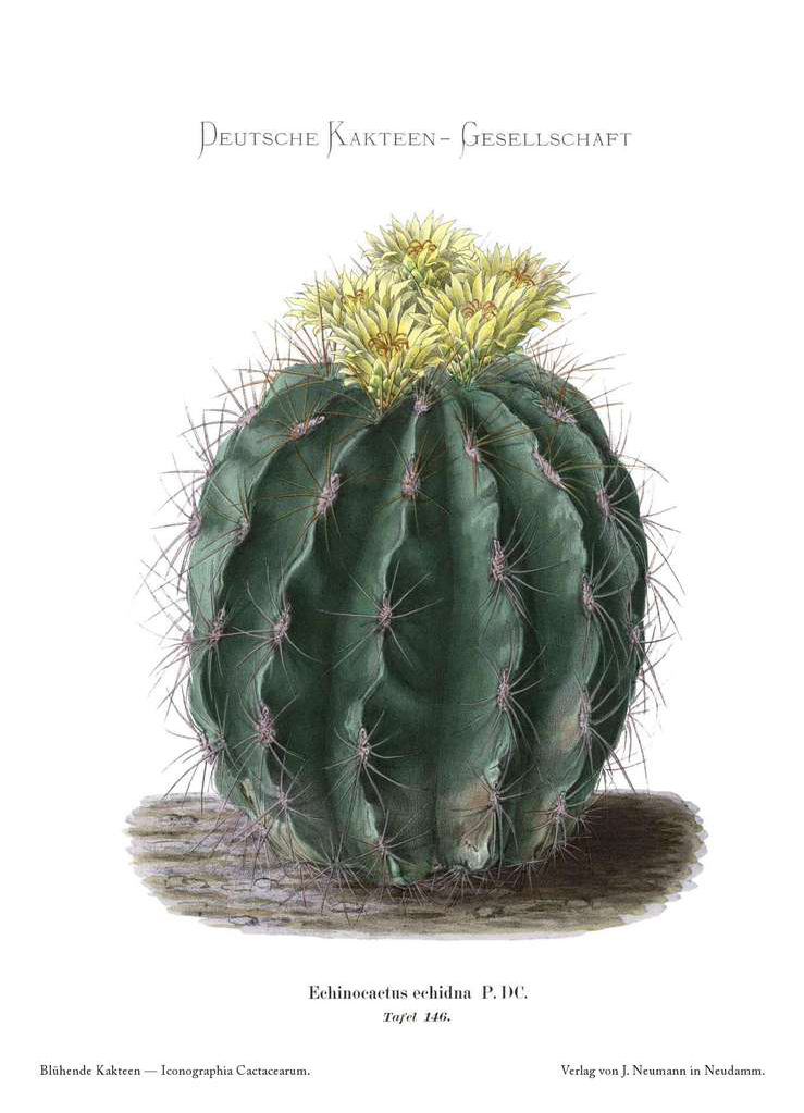 no full size  illustration available (3a)