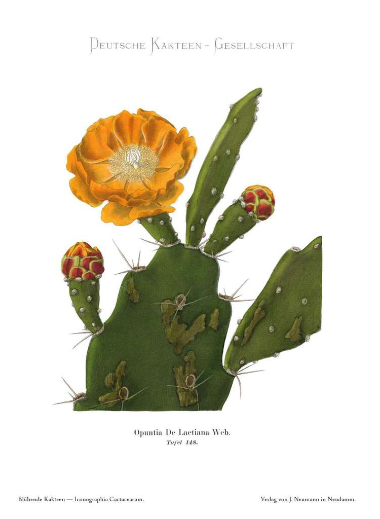 no full size  illustration available (3a)