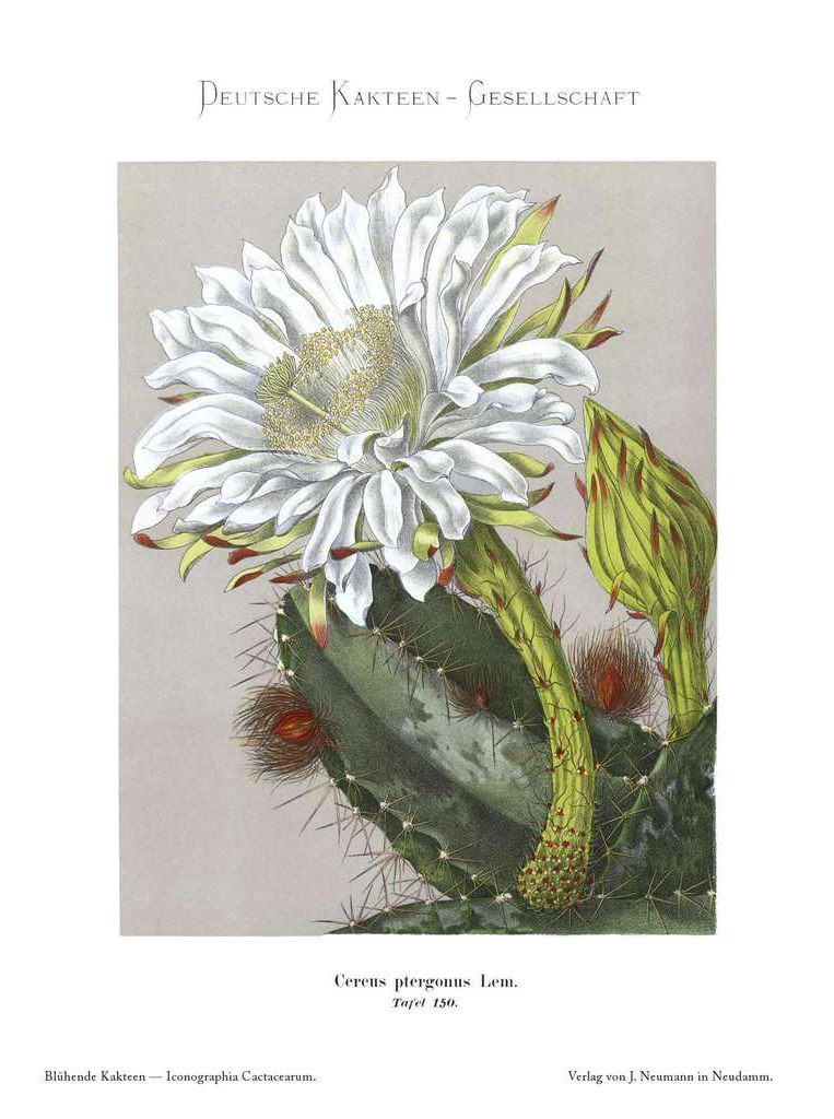 no full size  illustration available (3a)