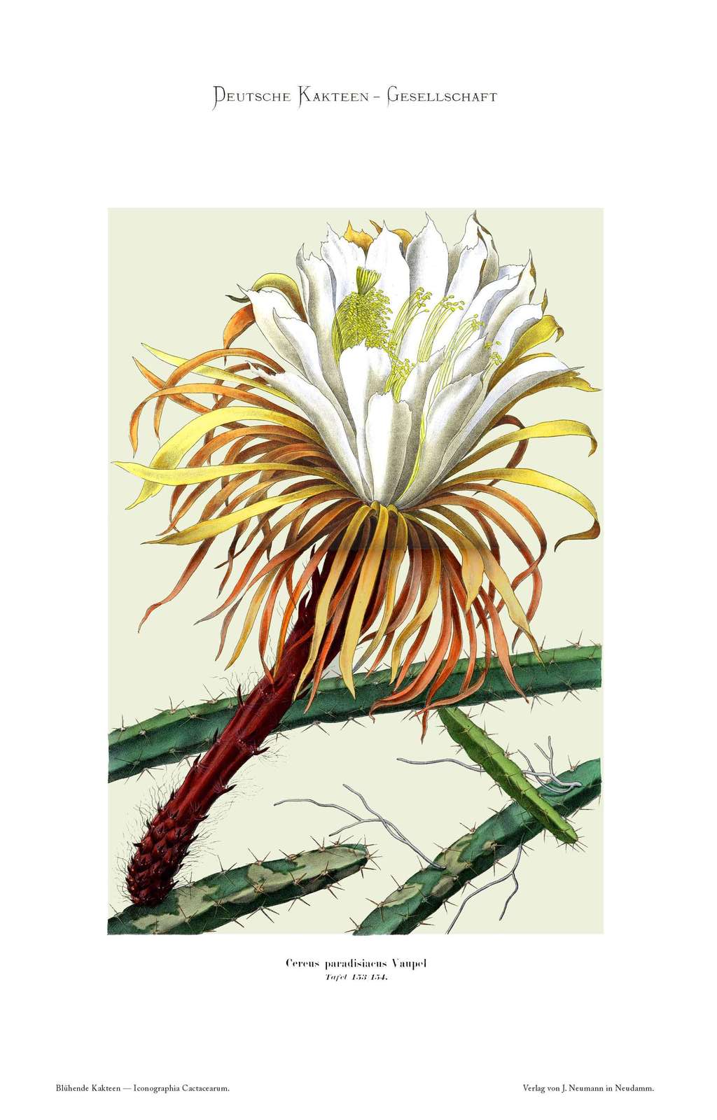 no full size  illustration available (3a)