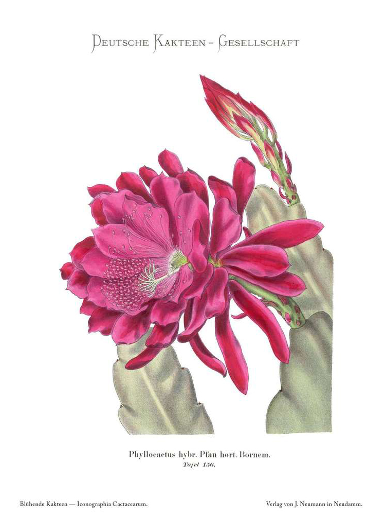 no full size  illustration available (3a)