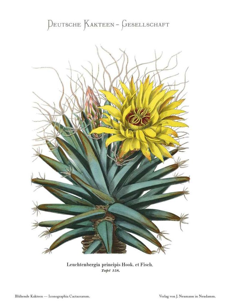 no full size  illustration available (3a)