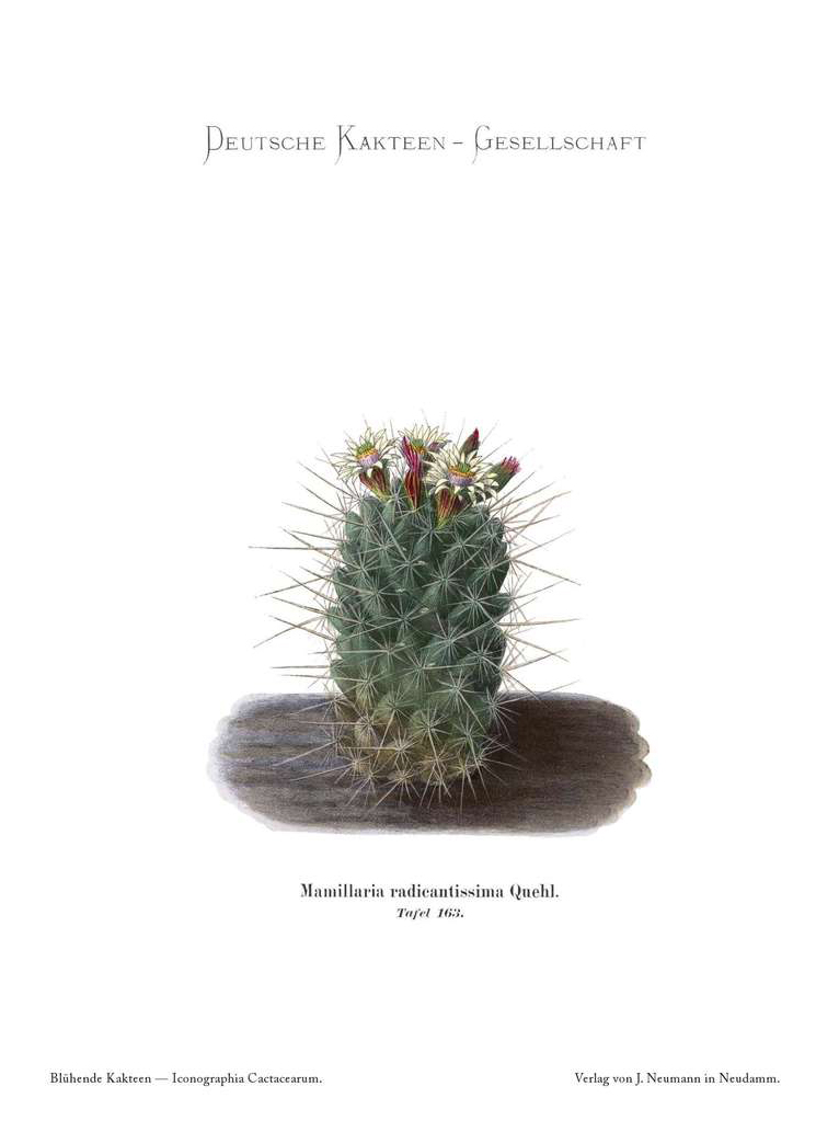 no full size  illustration available (3a)