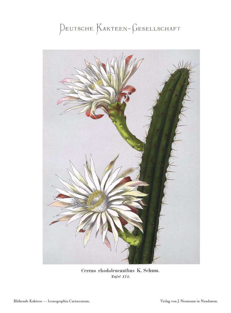 no full size  illustration available (3a)