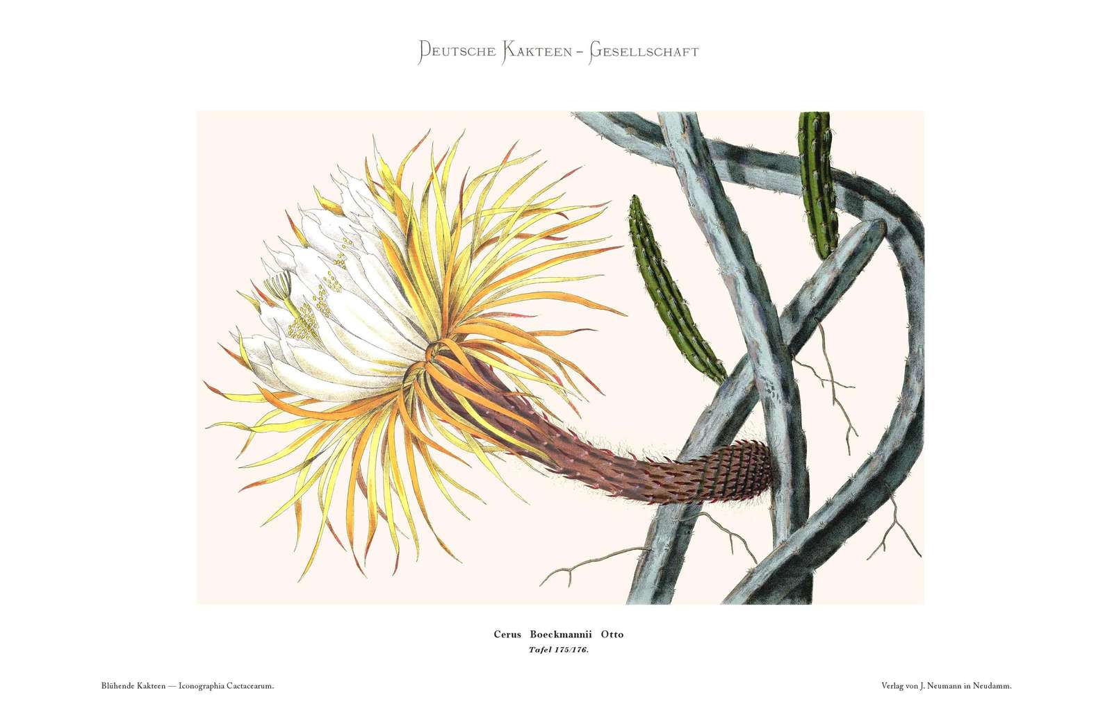 no full size  illustration available (3a)