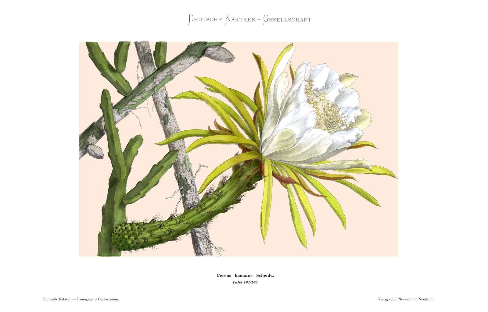 no full size  illustration available (3a)