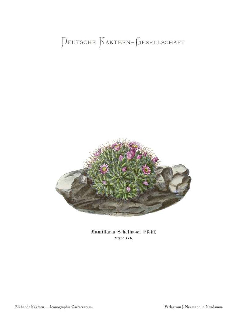 no full size  illustration available (3a)