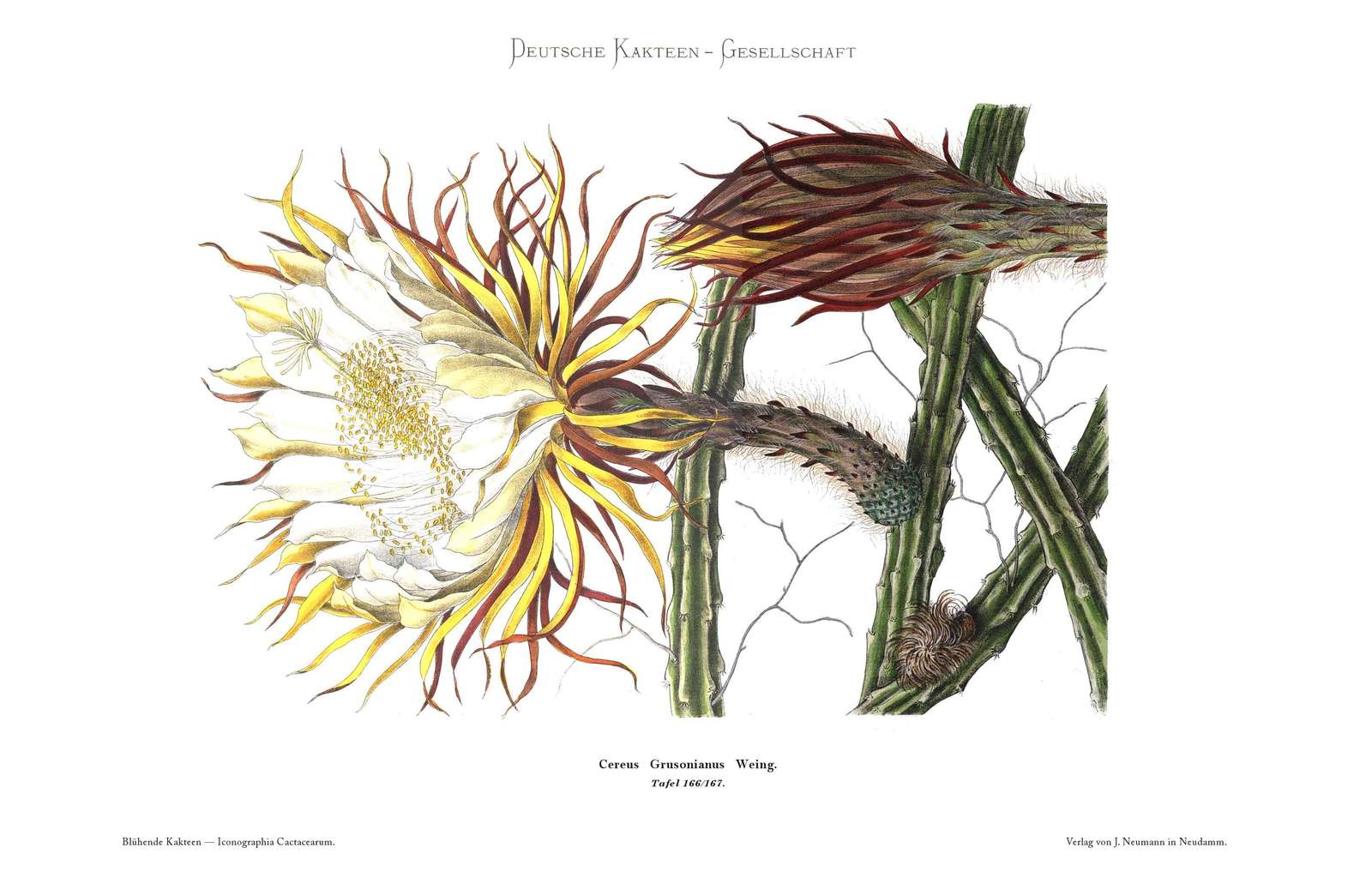 no full size  illustration available (3a)