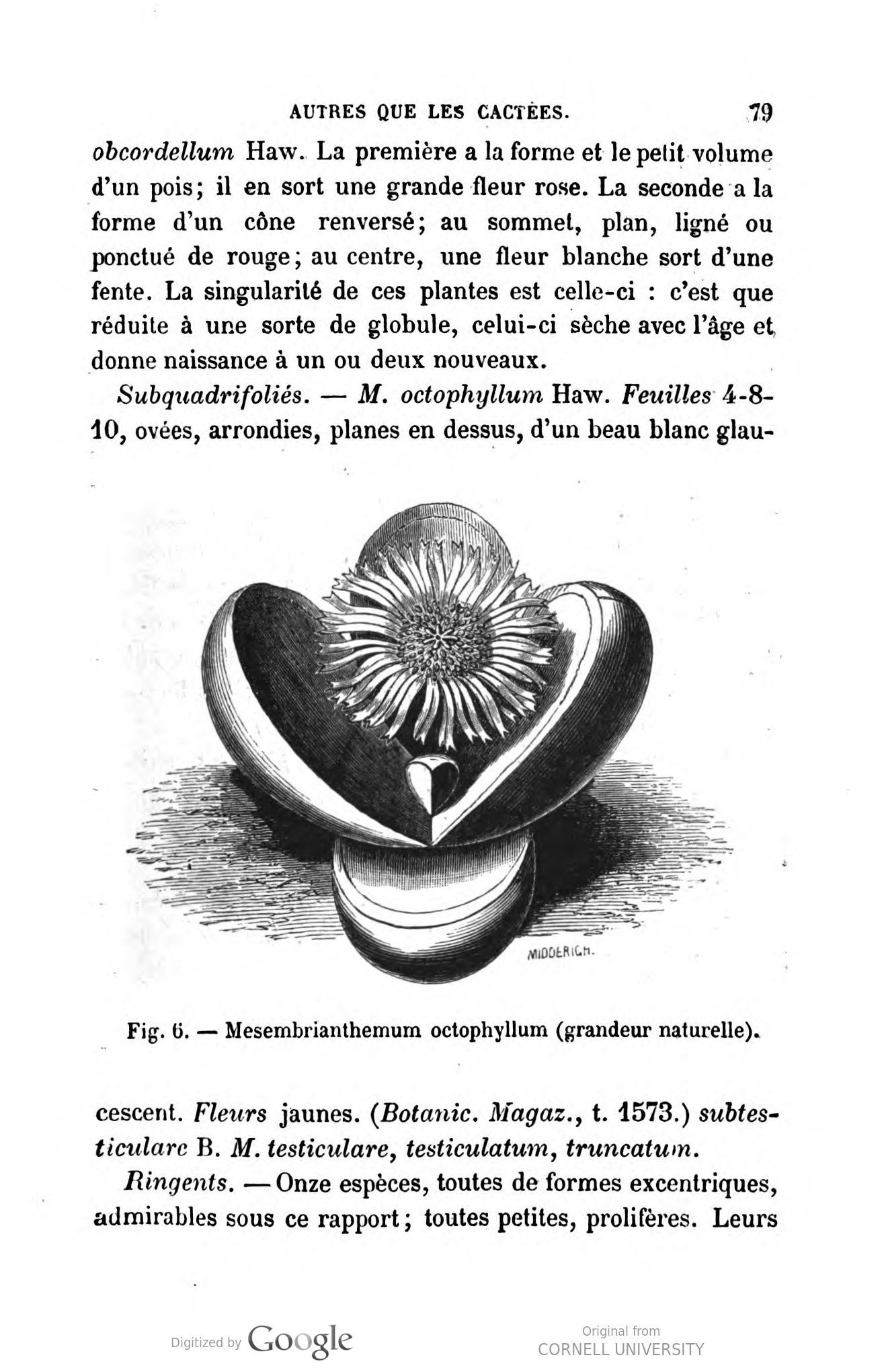 no full size  illustration available (3a)