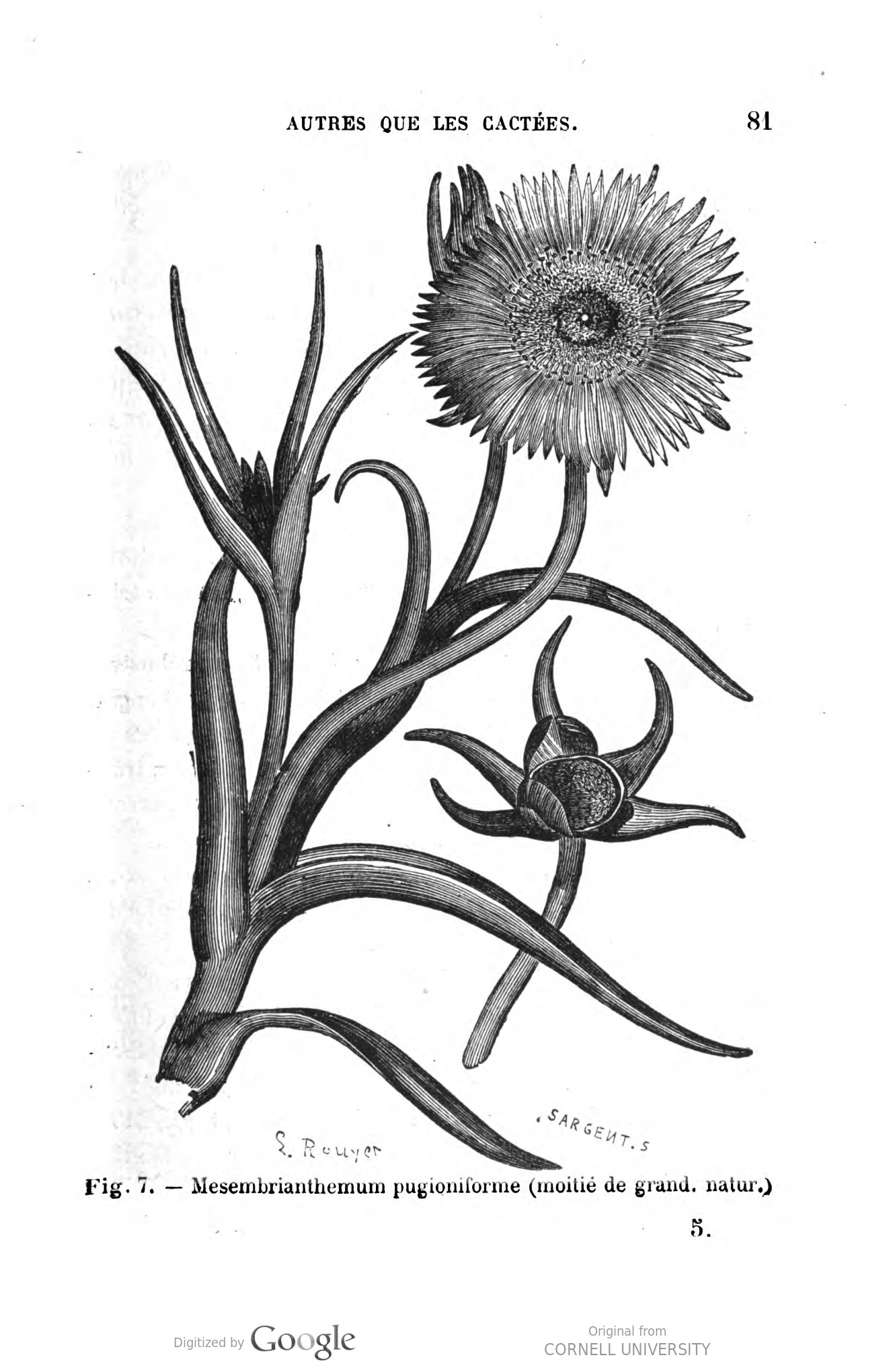 no full size  illustration available (3a)