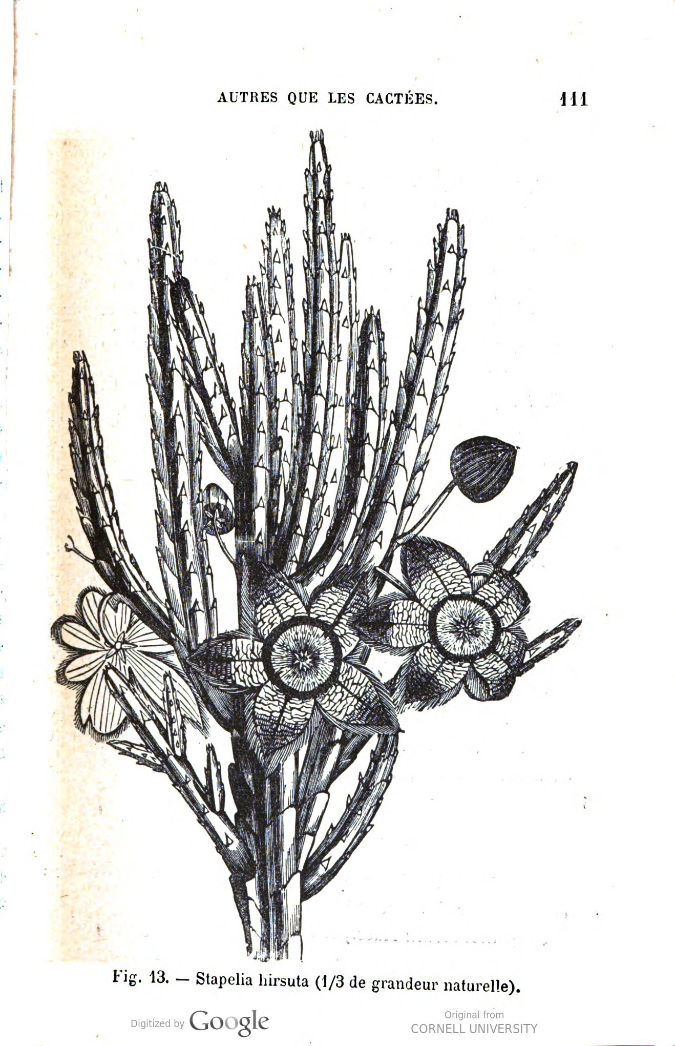 no full size  illustration available (3a)