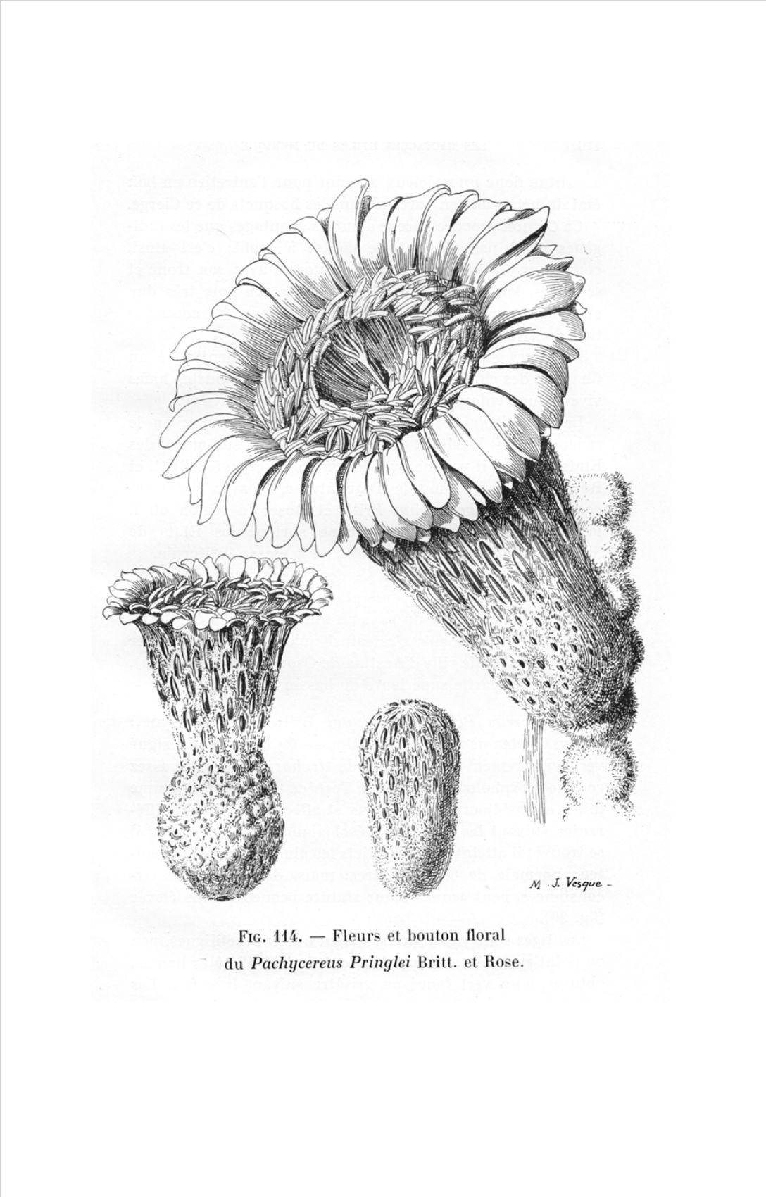 no full size  illustration available (3a)