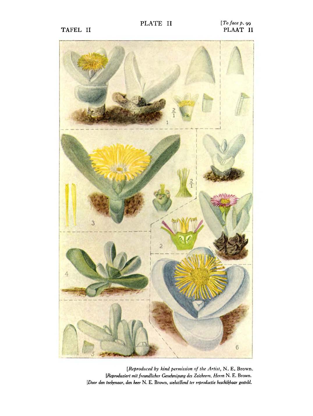 no full size  illustration available (3a)