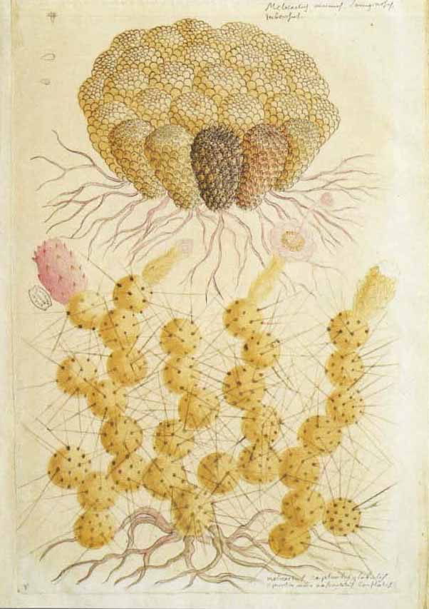 no full size  illustration available (3a)