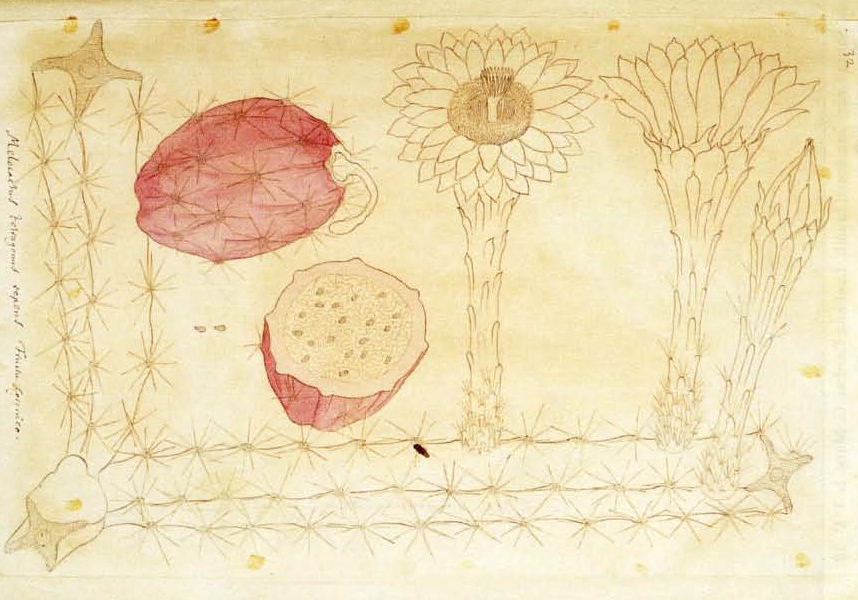 no full size  illustration available (3a)