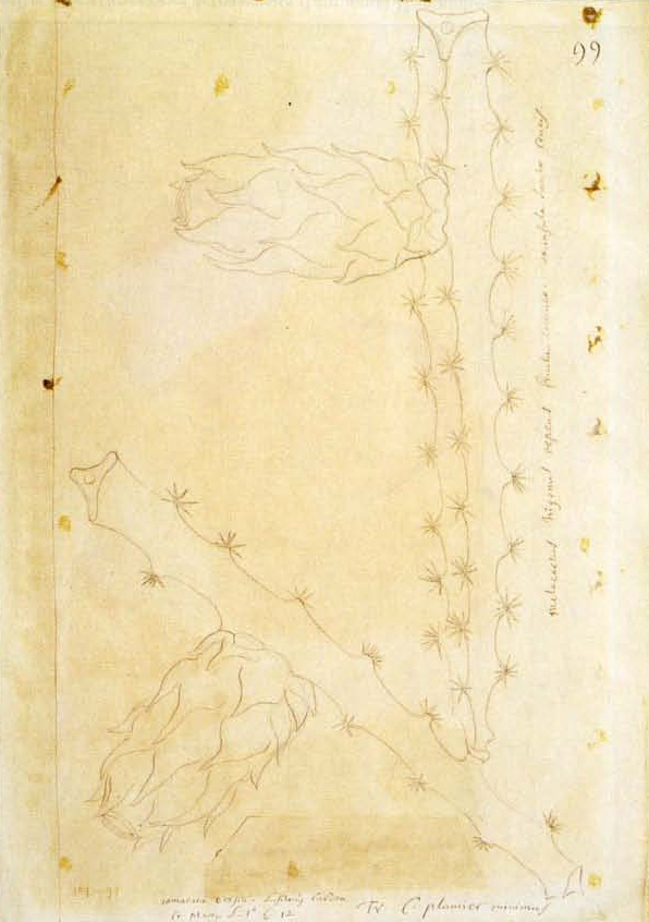 no full size  illustration available (3a)