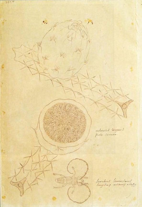 no full size  illustration available (3a)