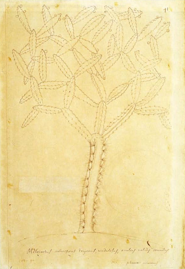 no full size  illustration available (3a)