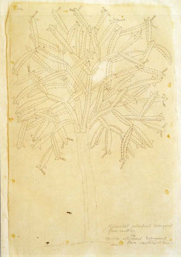 no full size  illustration available (3a)