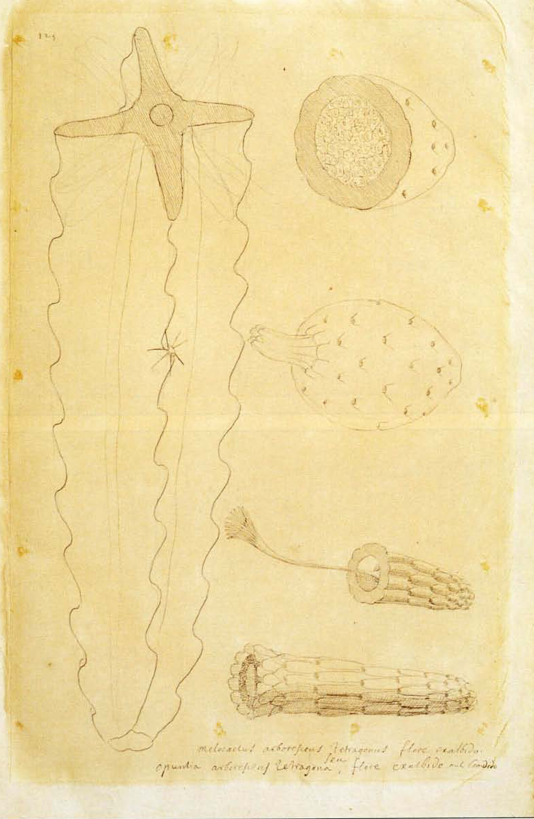 no full size  illustration available (3a)